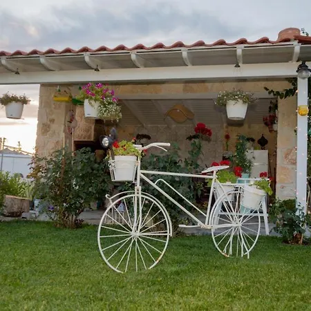 Yulia Villa